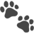 🐾