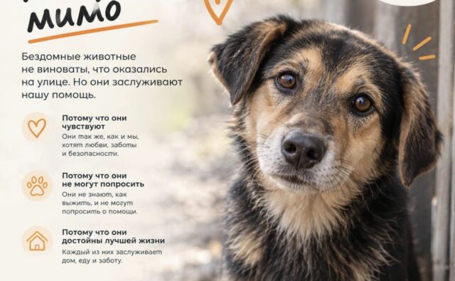 Почему мы не проходим мимо?