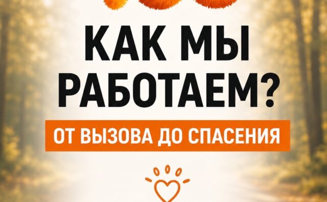 Как мы работаем: шаг за&hellip;